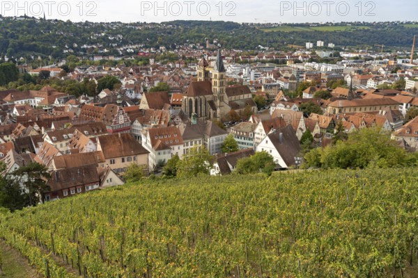 View over a vineyard to Esslingen with the parish church of St Dionys Esslingen am Neckar,