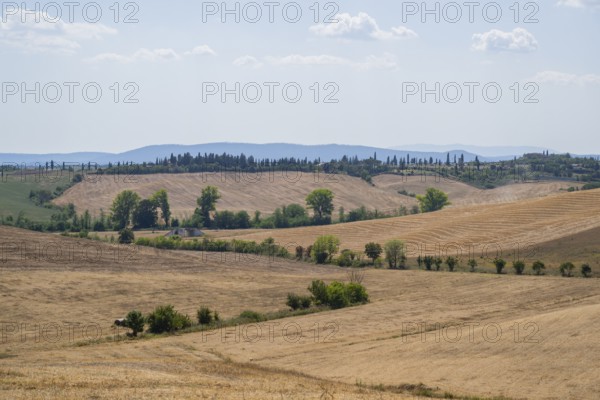 Tuscan landscape with fields and hills, Unesco world heritage, Crete Senesi, Italy, Europe,