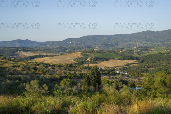 Tuscan landscape, country estate with vineyards, forests, olive trees and cypresses in Chianti,