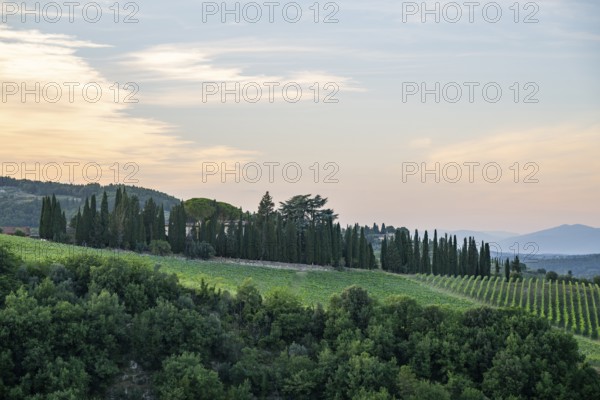 Tuscan landscape next to greve in Chianti and Montefioralle, country estate with vineyards,