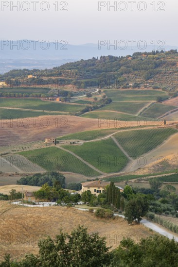 Hilly landscape in Tuscany, view from the upper city wall of Montepulciano, Tuscany, Italy, Europe