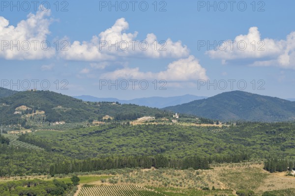 Tuscan landscape, country estate with vineyards, forests, olive trees and cypresses in Chianti,