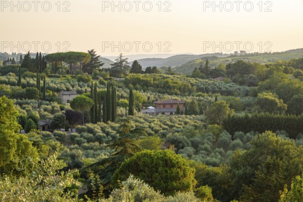 Hilly landscape in Tuscany, view from the upper city wall of Montepulciano, Tuscany, Italy, Europe