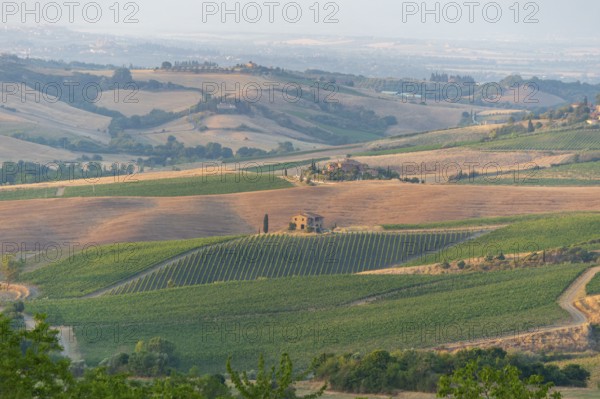 Hilly landscape in Tuscany, view from the upper city wall of Montepulciano, Tuscany, Italy, Europe