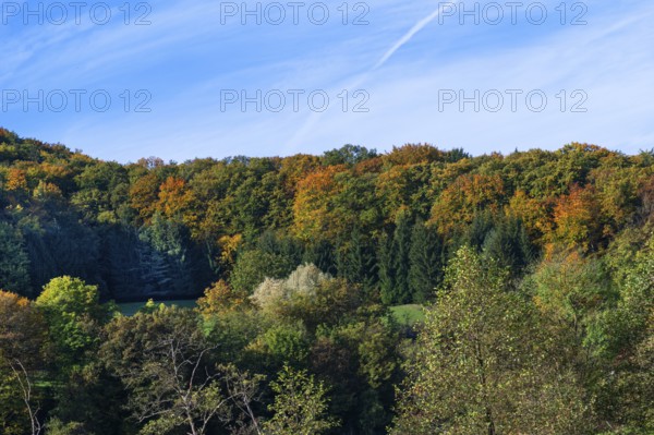 Mixed forest in autumn colours, Egloffstein, Upper Franconia, Bavaria, Germany, Europe