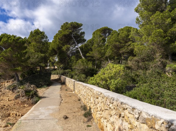 Landscape and coastal area in the north of Majorca, Cala Rajada, Balearic Islands, . Spain