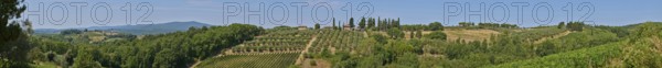 Tuscan landscape, country estate with vineyards, forests, olive trees and cypresses in Chianti,
