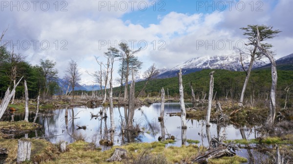 Laguna Esmeralda, Provinz Tierra del Fuego, Argentina, South America