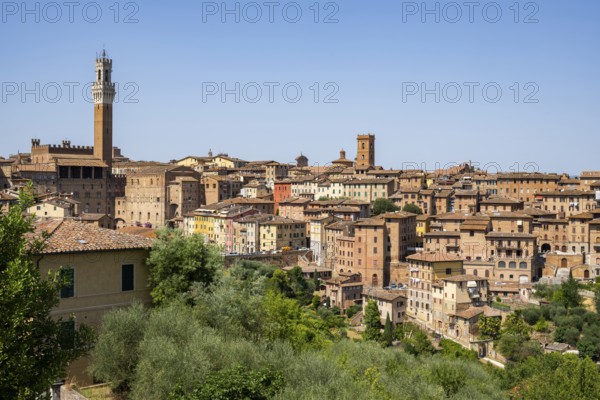 Basilica di San Clemente, historical, building, alley, Siena, Tuscany, Italy, Europe