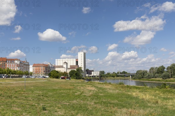 Elbe riverbank in Riesa, Saxony, Germany, Europe