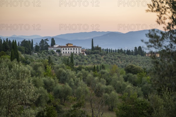 Tuscan landscape at sunrise, country estate with a farm house, vineyards, forests, olive trees and