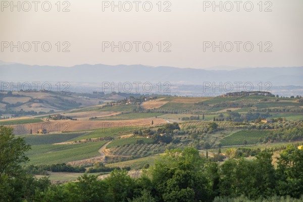 Hilly landscape in Tuscany, view from the upper city wall of Montepulciano, Tuscany, Italy, Europe