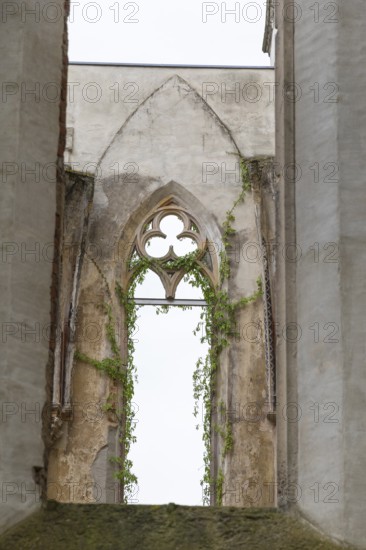 Wachau church ruins, Markkleeberg, Saxony, Germany, Europe