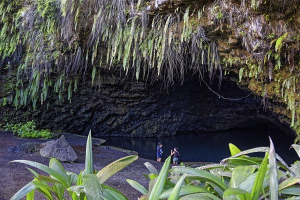 Grotto, filled with water, plants, different, various, three tourists, Grottes De Mara'a, Paea,