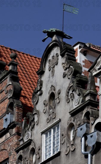 Today ulica Swietego Ducha, gable of no. 111 (so-called House to the Turtle) Birthplace of Johanna