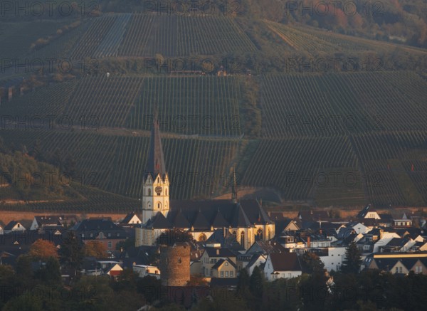 View from the south from the vineyards, St., Sankt, Saint