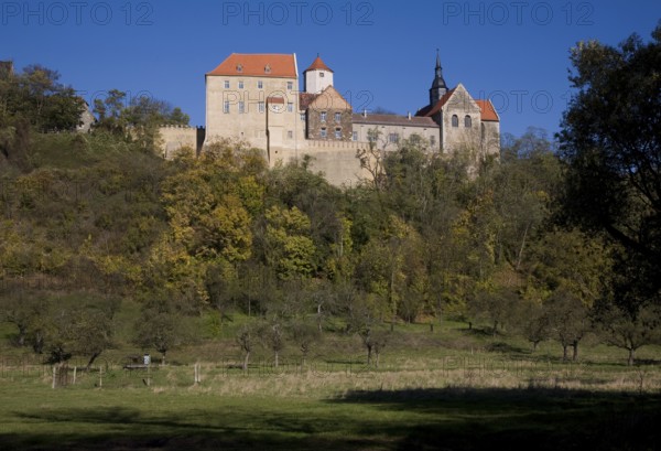 Goseck, Castle