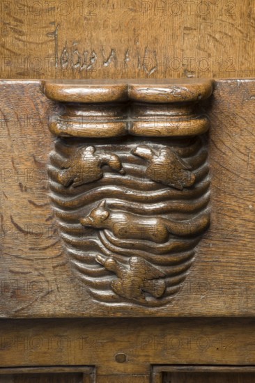 Choir stalls, drolleries on the stall cheeks with proverbial depictions, 1493 by Johannes Gruter