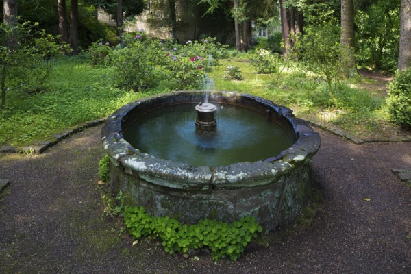 Forest Cathedral (open-air church), Fountain, St., Saint, Saint