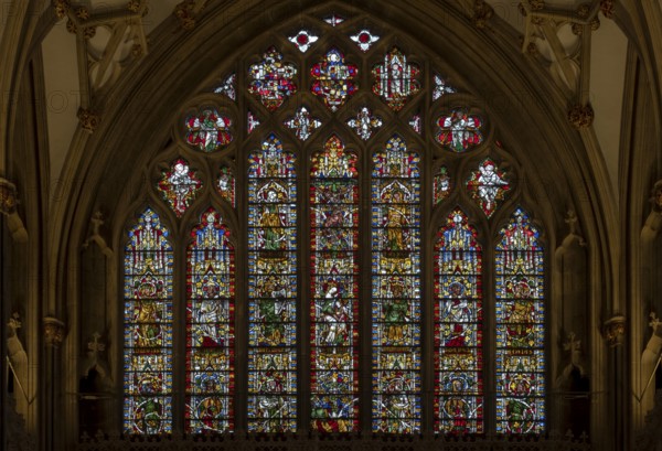 Wells, Cathedral, Jesse window in the choir
