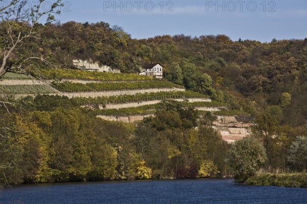 Vineyards on the Saale