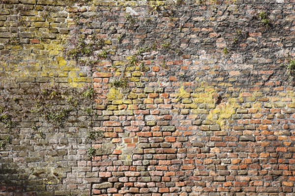 Wall of the cathedral district, St., Sankt, Saint