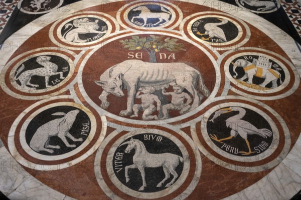 Siena, Duomo Santa Maria, interior, marble floor from 1369, detail with Sienese she-wolf