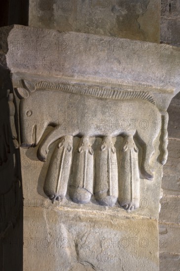 Gropina, Pieve San Pietro di Gropina, capital next to the west portal: pig suckling piglet