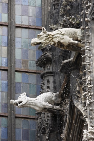 Gargoyle on the south side, St., Sankt, Saint