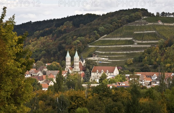Town and town church, behind it the historic Edelacker vineyard, St., Sankt, Saint