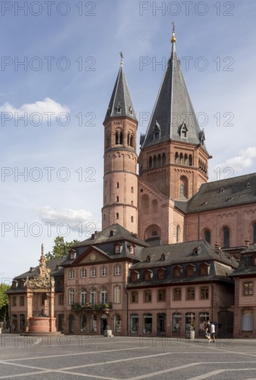 Mainz, St Martin's Cathedral, north side with baroque houses and market fountain