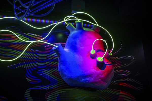 Neon Heart, Meow Wolf Museum, Area 15, Las Vegas, Nevada, USA, North America