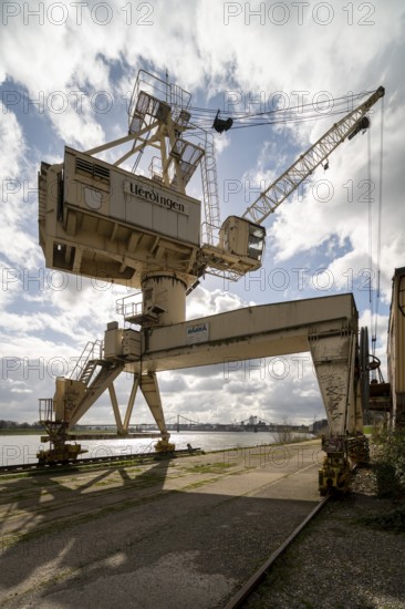 Krefeld, Ürdingen, Rheinwerft, Yellow Crane