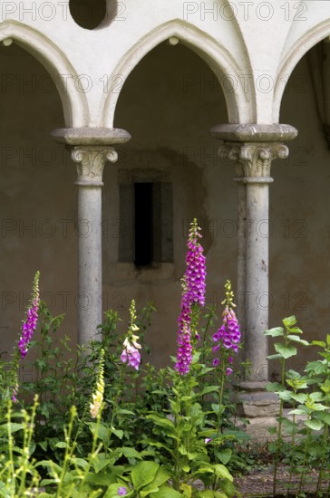 Rommersdorf near Gladbach, abbey, Premonstratensian monastery