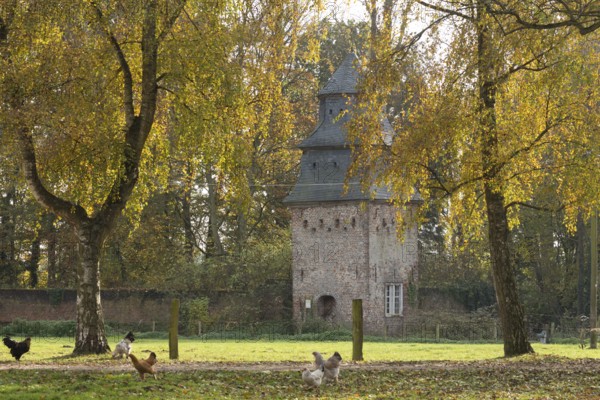 Pigeon tower from the 18th century with chickens