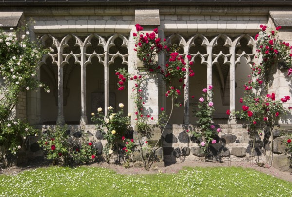 Cloister with roses, St., Saint, Saint