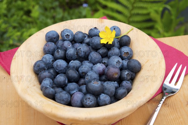 Blueberries, blueberries, wooden bowl