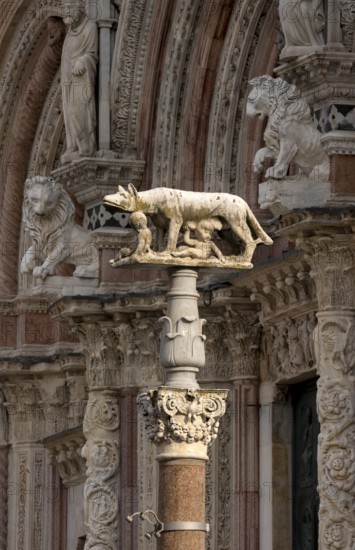 Siena, Duomo Santa Maria, Cathedral Square, detail of the west façade with the Sienese she-wolf in
