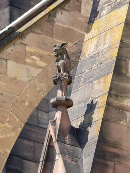 Strasbourg Cathedral, Cath?drale Notre-Dame de Strasbourg, south side, mythical creature on a