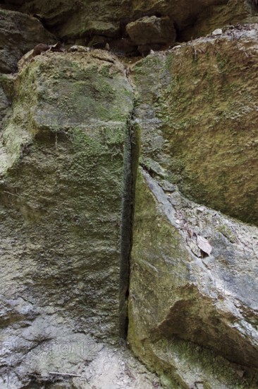 Medieval Kapfelberg quarry, Teugn, stones were quarried here in the Middle Ages for building the
