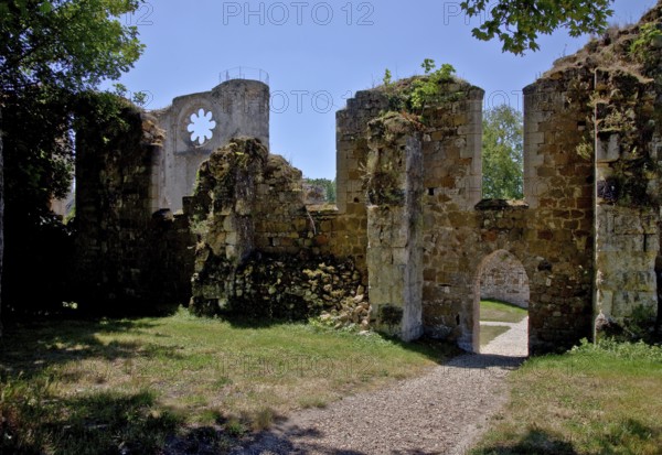 Ruins of the monastery church from the north, behind the ruins of the south transept with rose