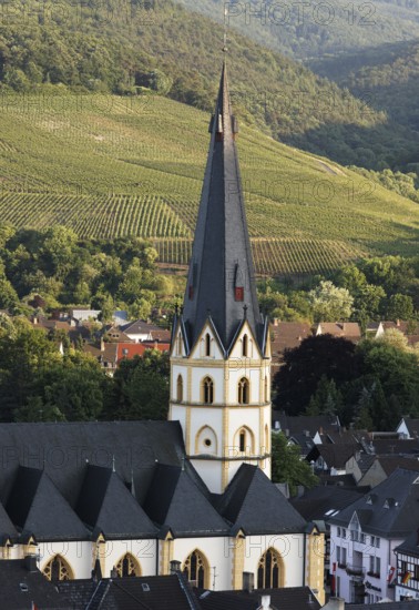 View from the north from the vineyards of Norden, St., Sankt, Saint