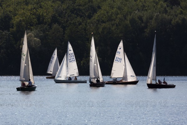 Sailing regatta of the SCV Segelclub Ville, Zugvogel, Schwertzugvogel