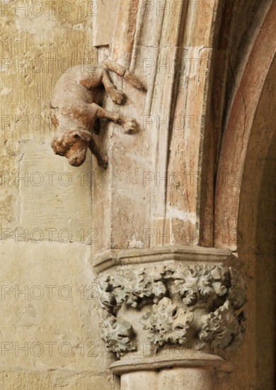 North aisle, Heinrich-und-Kunigunden altar from around 1320, detail dog, St., Sankt, Saint