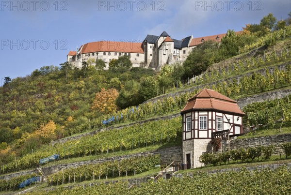 Freyburg/Unstrut, Neuenburg Castle and ducal vineyard