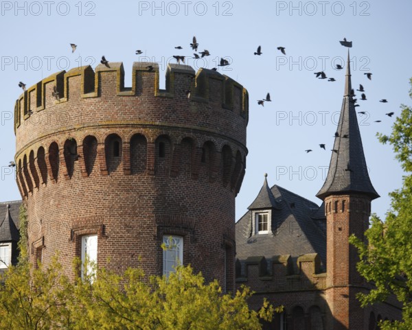 Moyland, castle park in spring