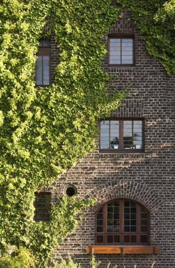 Residence for Heinrich Campendonck, built by Karl Buschhüter in 1922, north side, detail of window