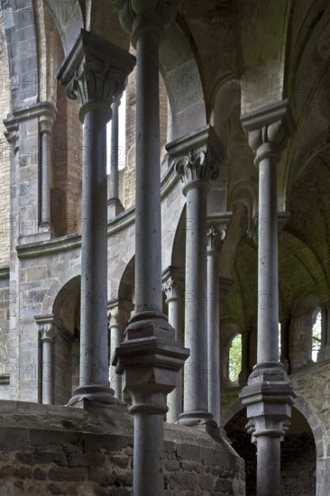 Heisterbach, abbey ruins Ruins of the abbey church Built 1202-37 Partial view View inside to the