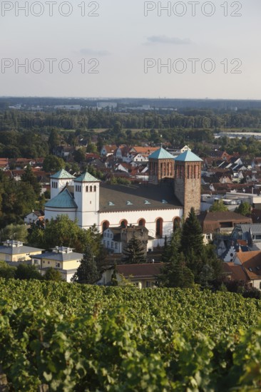Built in 1830 by Georg Moller, rebuilt 1949-1953, view from the Kirchberg, Abends, St., Sankt,