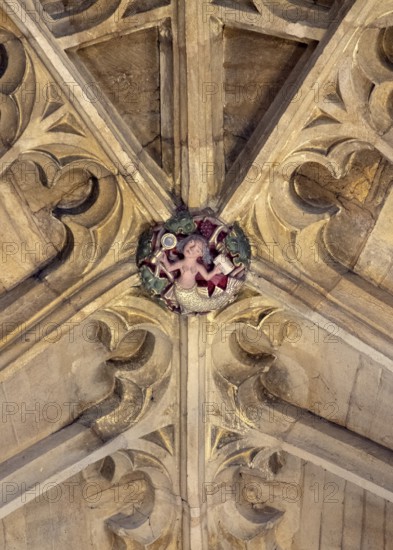 Sherborne Abbey, keystone in the nave, mermaid with mirror and comb